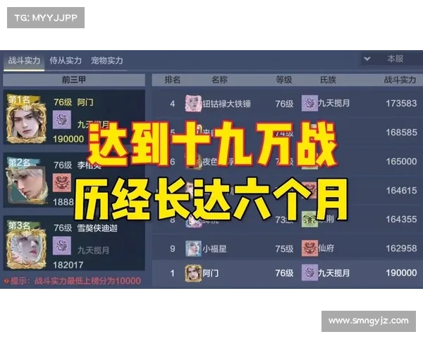 全面解析如何高效利用神仙道霸者宝石提升角色战力与成长效率